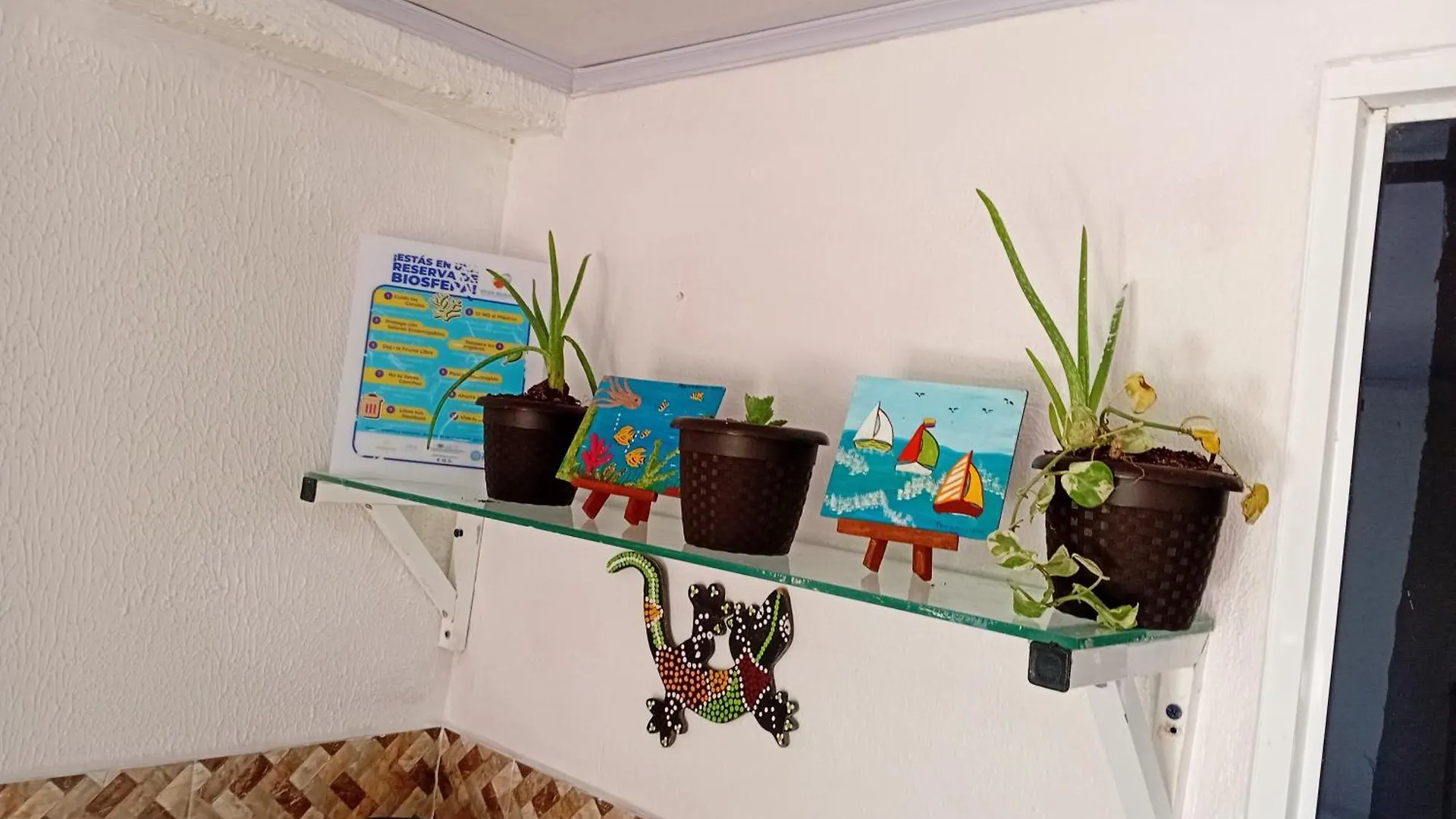 Locanda Hotel Casa Turistica Miss G Rocky Point